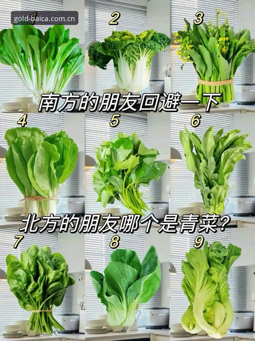 3大核心步骤：冠军白菜网论坛账号注册安装全攻略